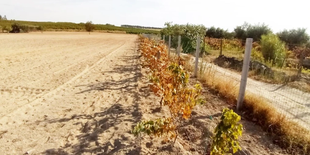 Terreno para Venda em Póvoa de Atalaia Foto 10