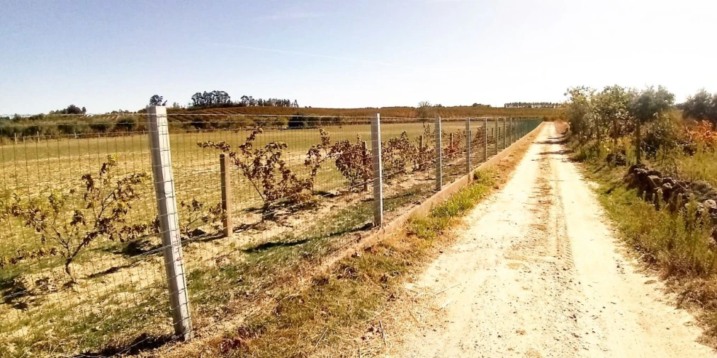 Terreno para Venda em Póvoa de Atalaia Foto 25