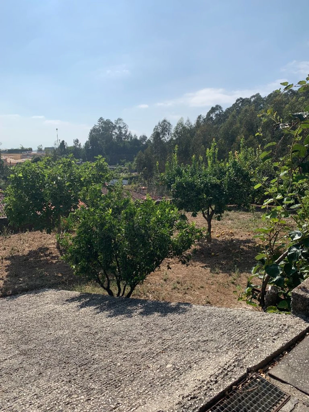 Moradia T6 para Venda em Rua do Ermo, 139 - 4520-304 Fornos Santa Maria da Feira Foto 9