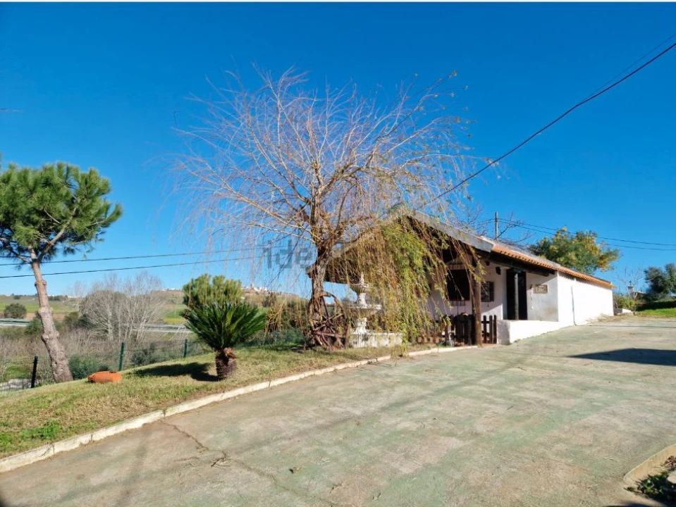 Quinta T7 para Venda em Estremoz Foto 3