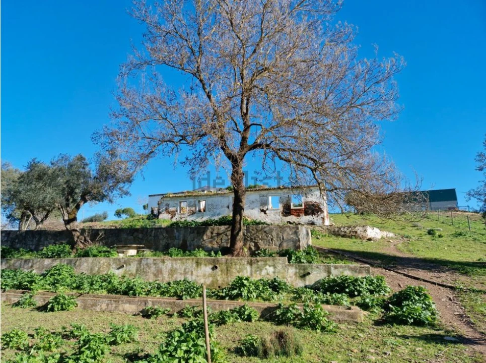 Quinta T7 para Venda em Estremoz Foto 9