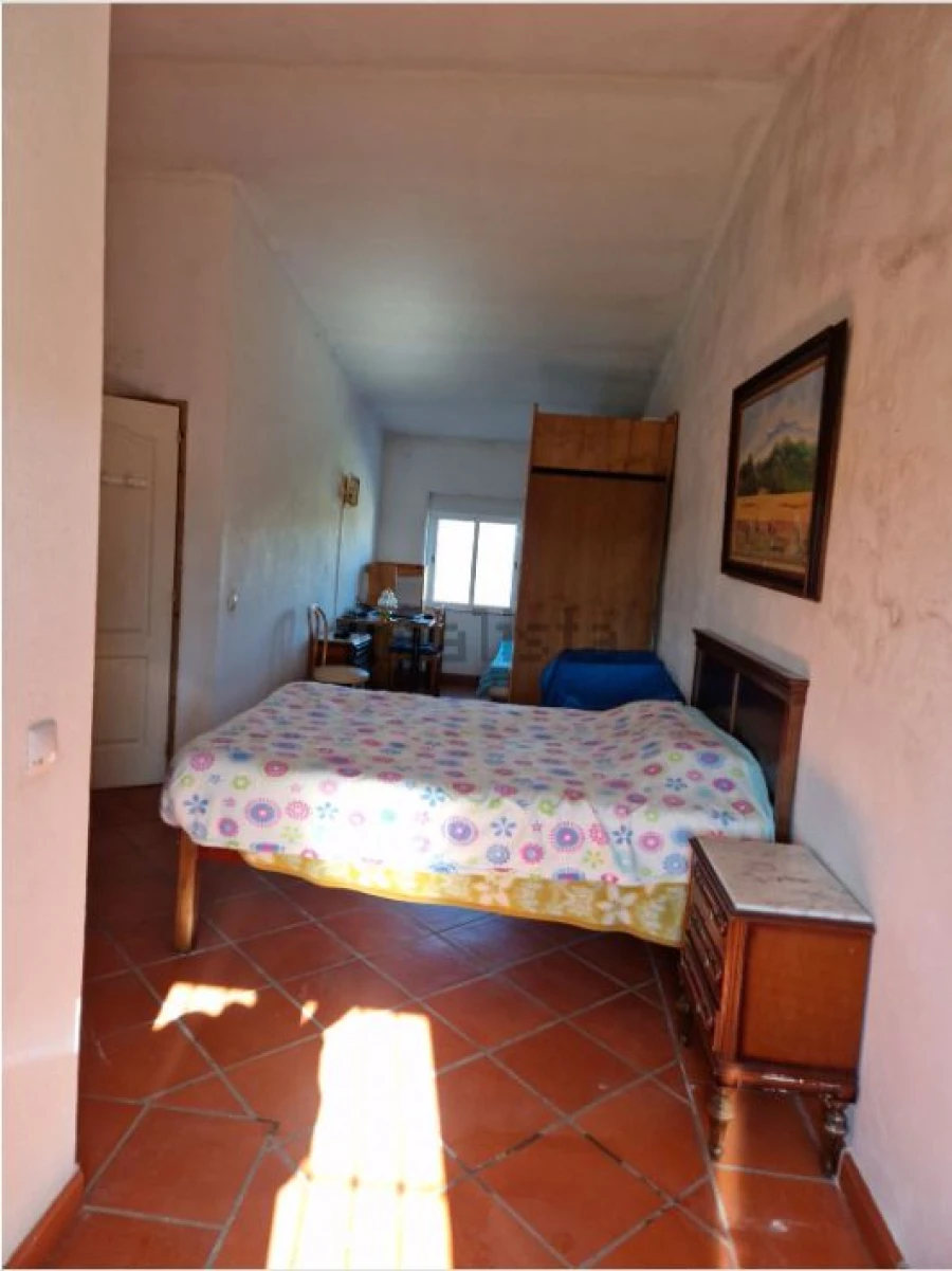 Quinta T7 para Venda em Estremoz Foto 7