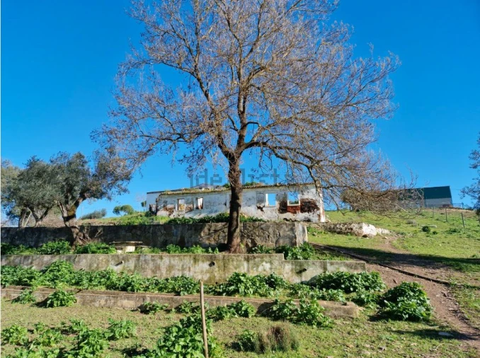 Quinta T7 para Venda em Estremoz Foto 9