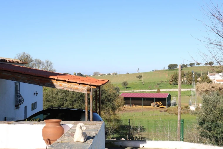 Quinta T7 para Venda em Estremoz Foto 11