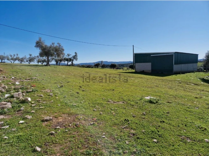 Quinta T7 para Venda em Estremoz Foto 14