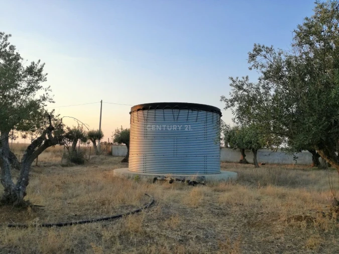 Quinta T7 para Venda em Estremoz Foto 19