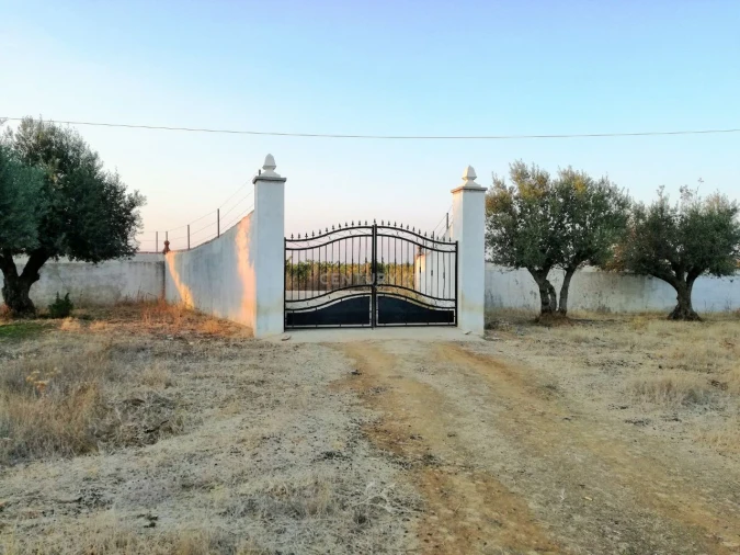 Quinta T7 para Venda em Estremoz Foto 21