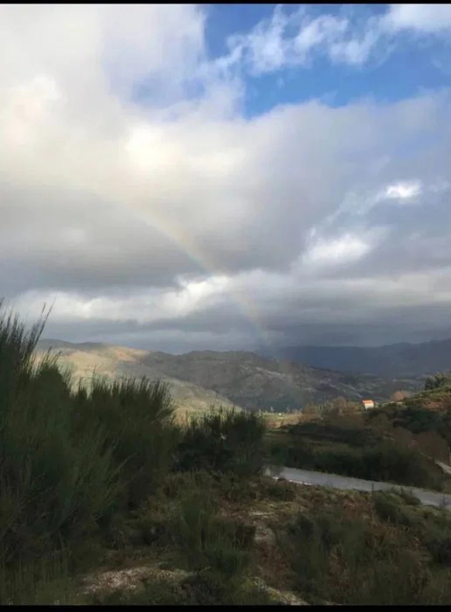 Terreno para Venda em Arcos de Valdevez Foto 3