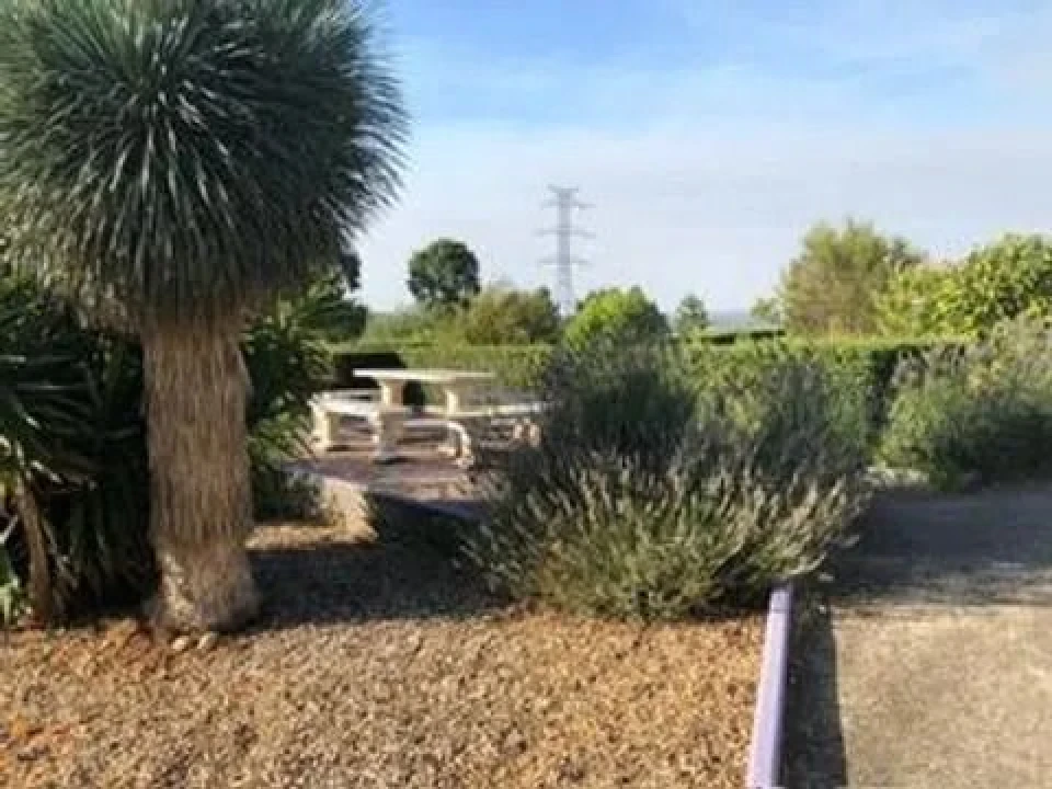 Quinta T6 para Venda em Machorro Foto 6