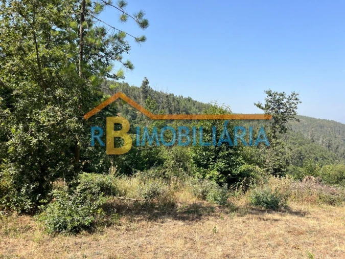 Terreno para Venda em Ameixieira