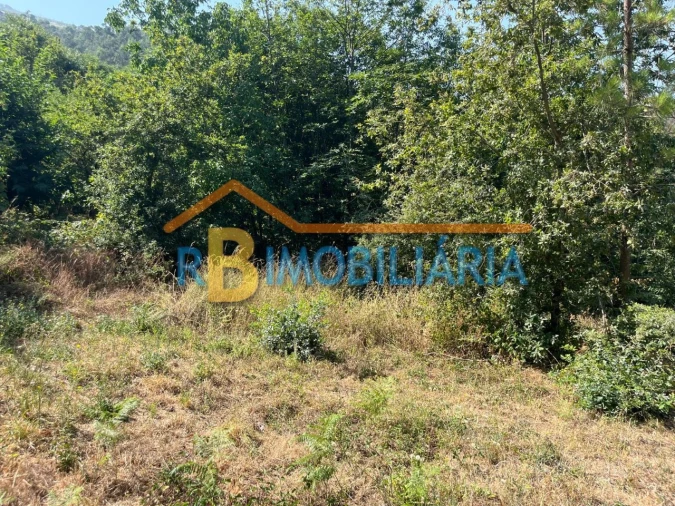 Terreno para Venda em Ameixieira Foto 4