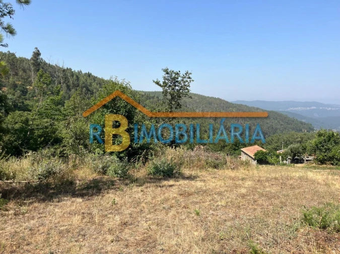 Terreno para Venda em Ameixieira Foto 2