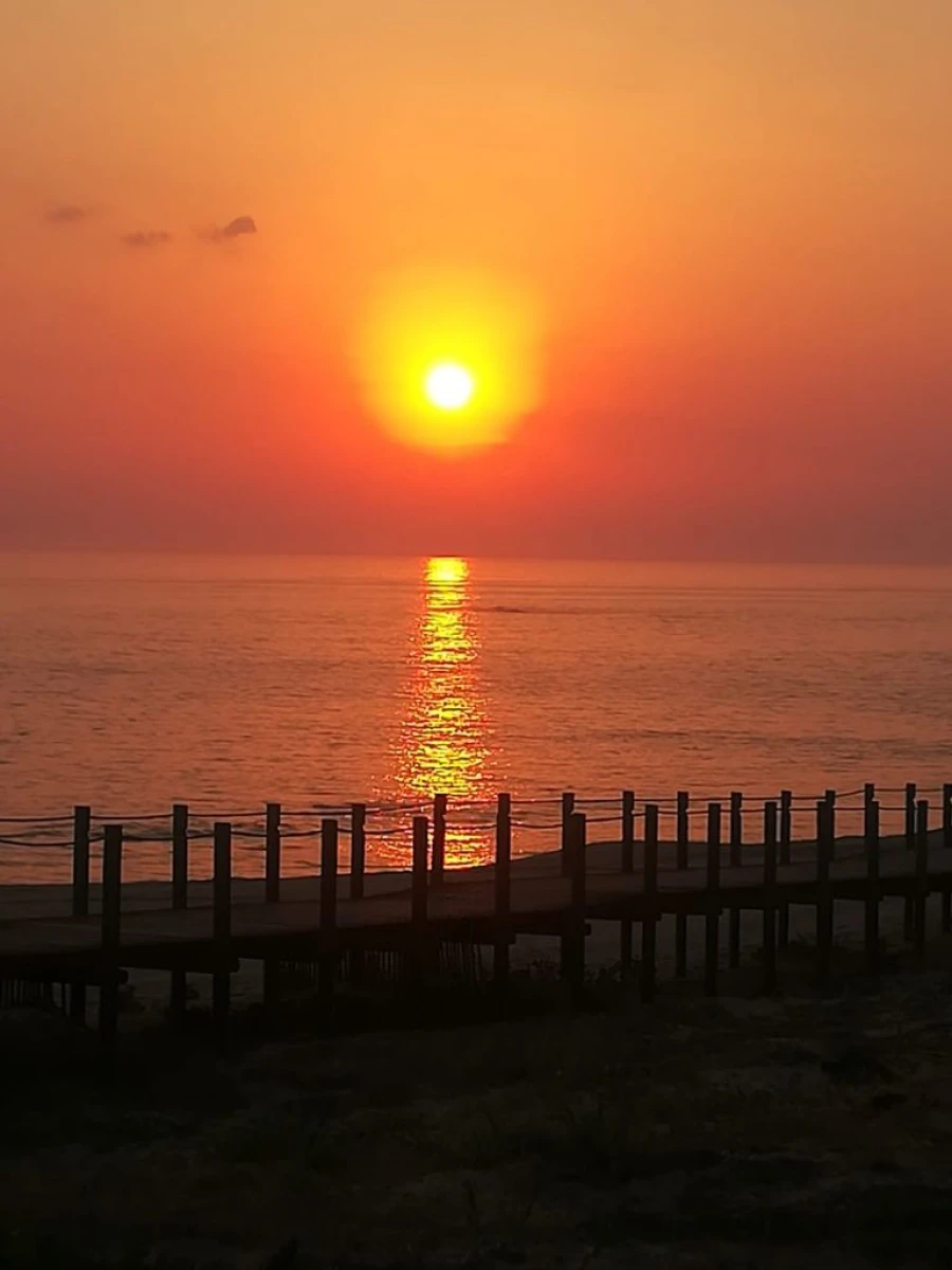 Moradia T4 para Arrendamento em Labruge Foto 6