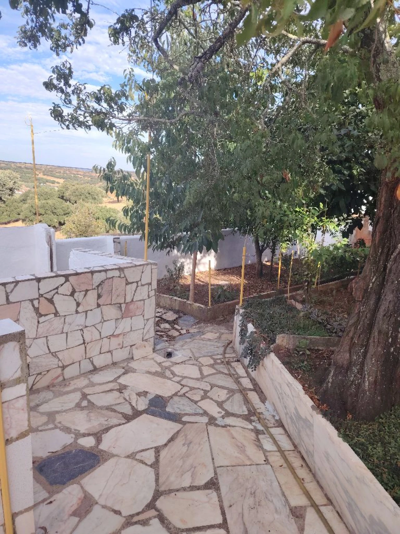 Moradia T2 para Venda em Vila viçosa Foto 38