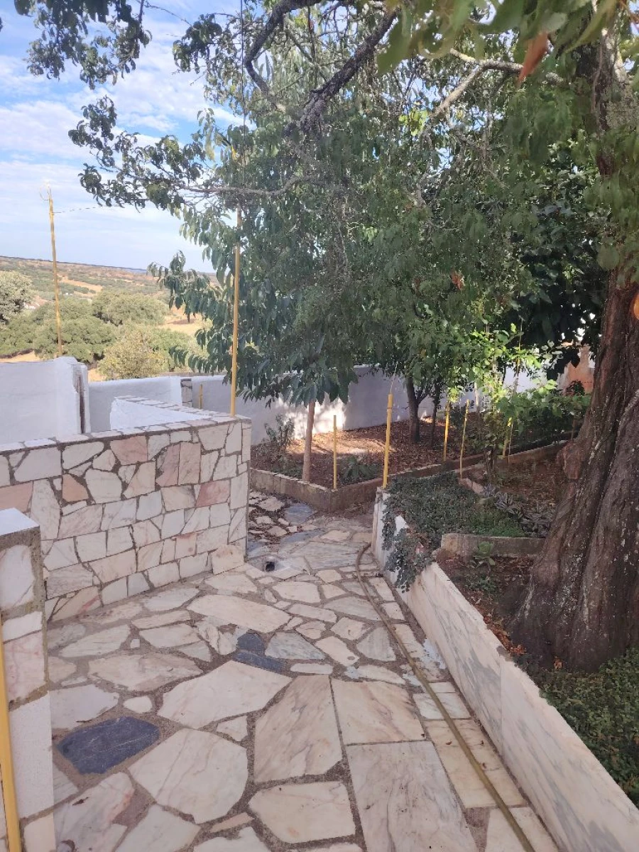 Moradia T2 para Venda em Vila viçosa Foto 38