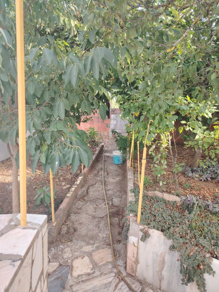 Moradia T2 para Venda em Vila viçosa Foto 42