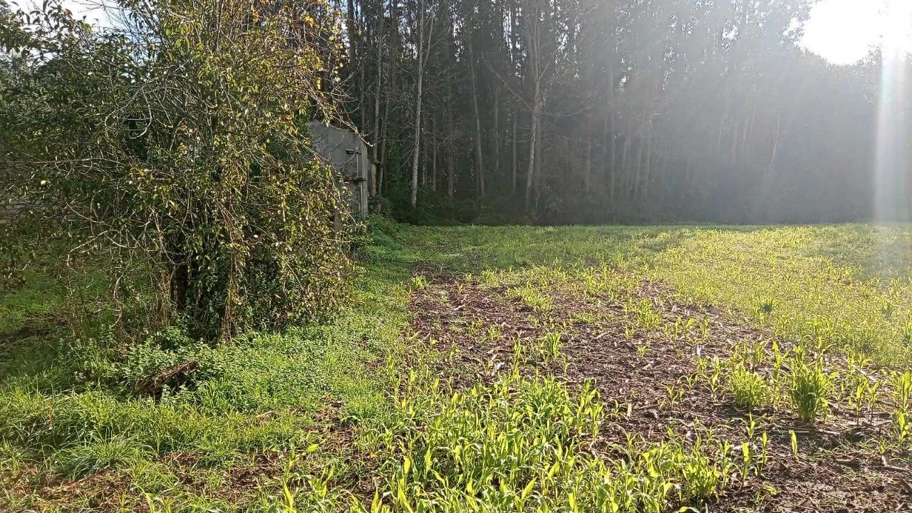 Terreno para Venda em Rio Lourido Foto 1