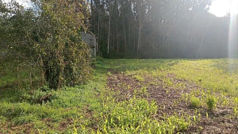 Terreno para Venda em Rio Lourido