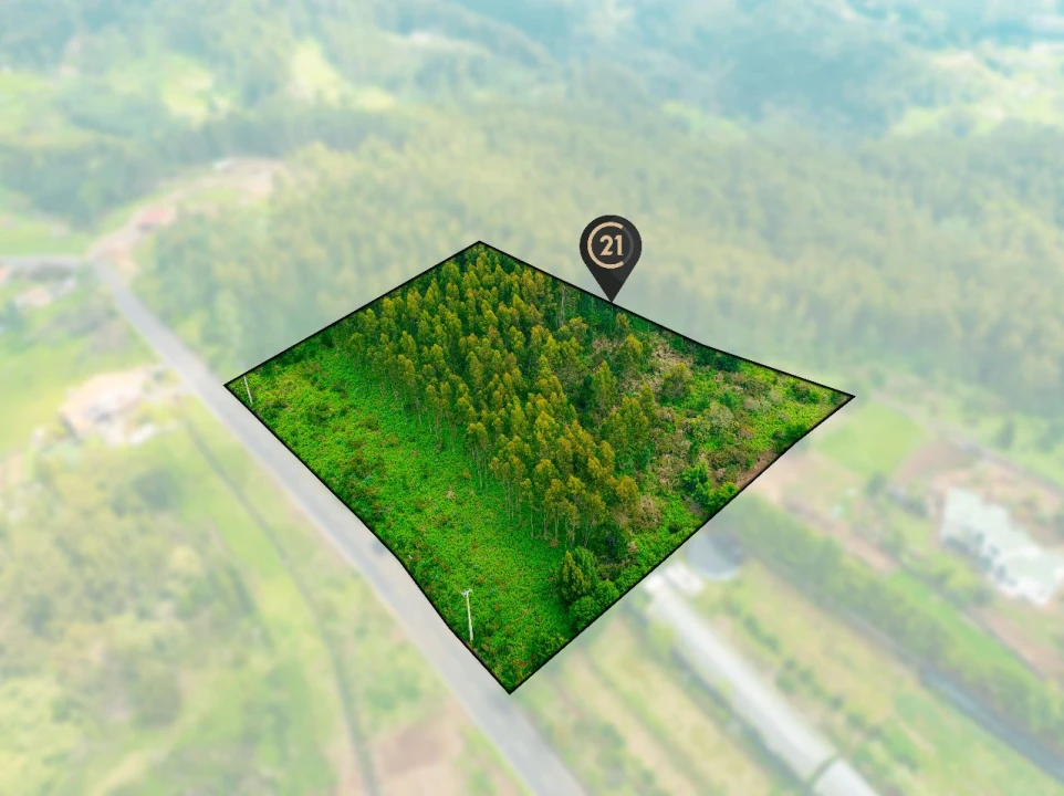 Terreno para Venda em Gaula Foto 5