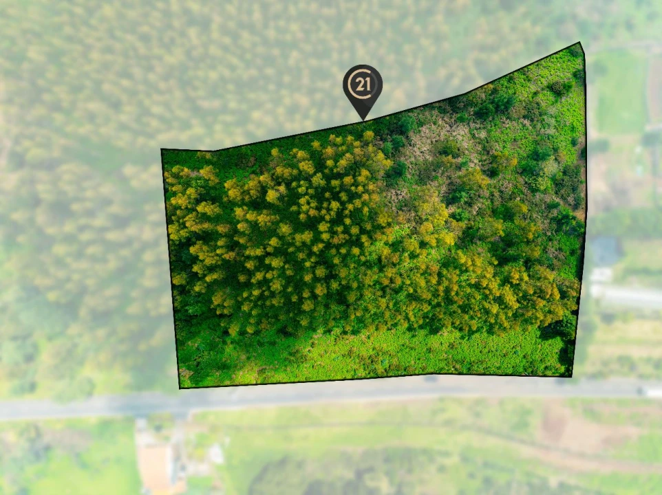 Terreno para Venda em Gaula Foto 4