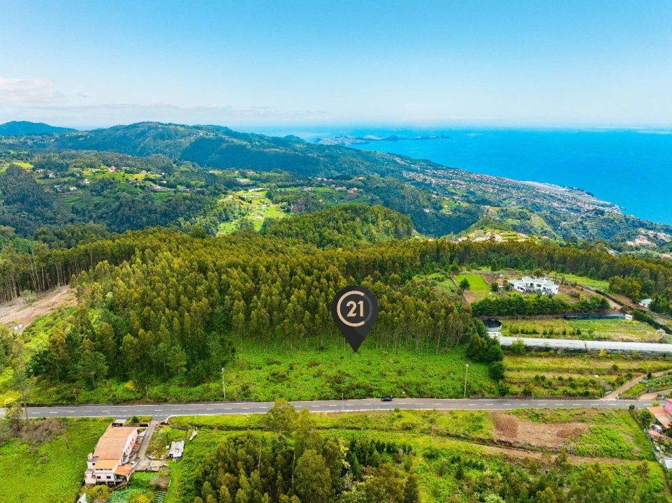 Terreno para Venda em Gaula Foto 13