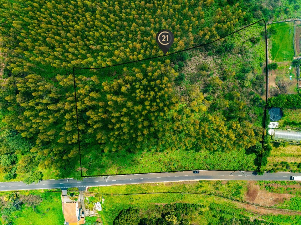 Terreno para Venda em Gaula Foto 11