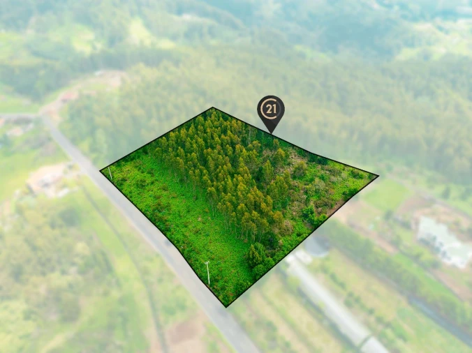 Terreno para Venda em Gaula Foto 5