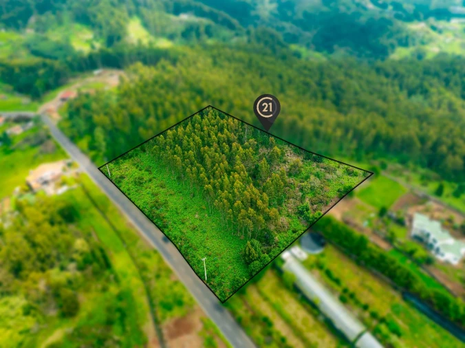 Terreno para Venda em Gaula Foto 7