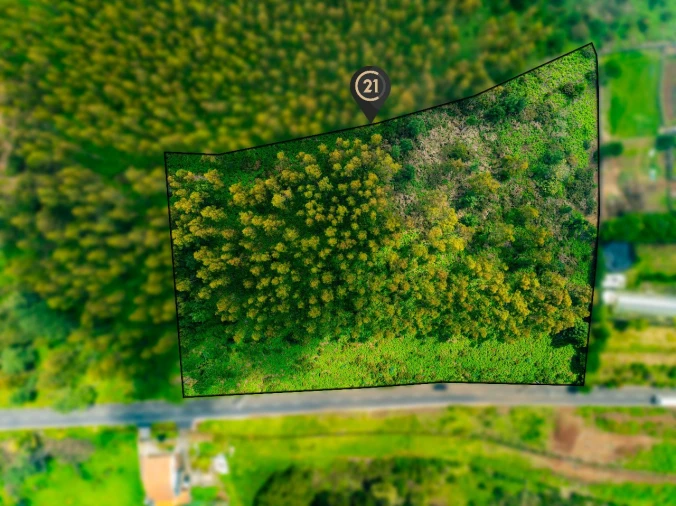 Terreno para Venda em Gaula Foto 6