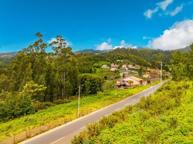 Terreno para Venda em Gaula Foto 1