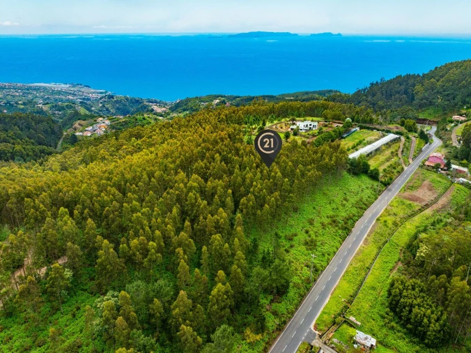 Terreno para Venda em Gaula Foto 12