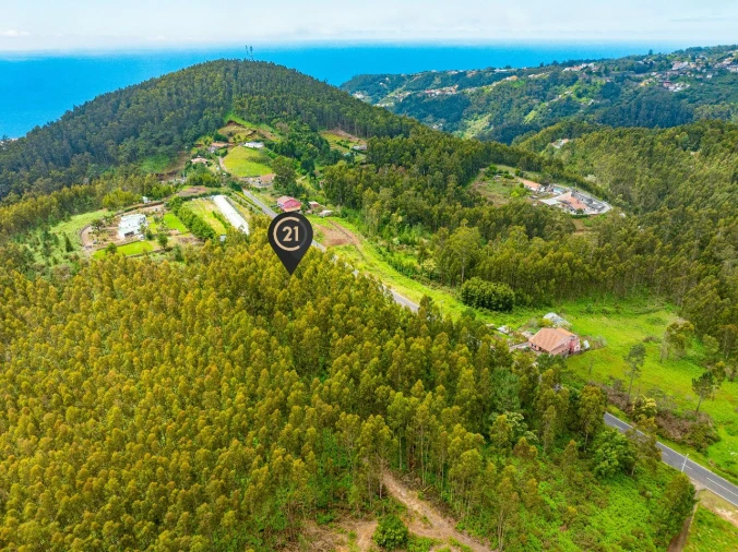 Terreno para Venda em Gaula Foto 8