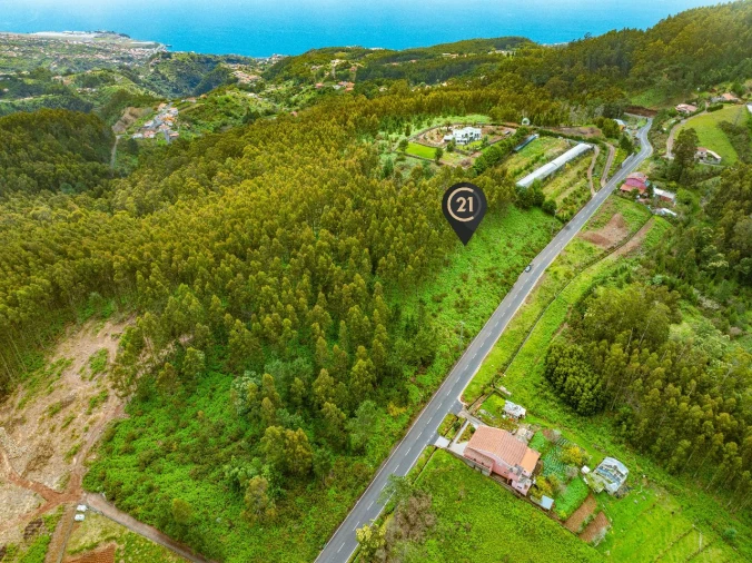 Terreno para Venda em Gaula Foto 9