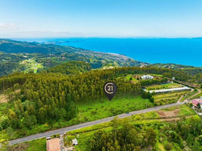 Terreno para Venda em Gaula Foto 2