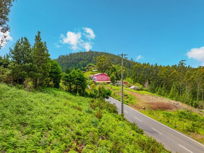 Terreno para Venda em Gaula Foto 3