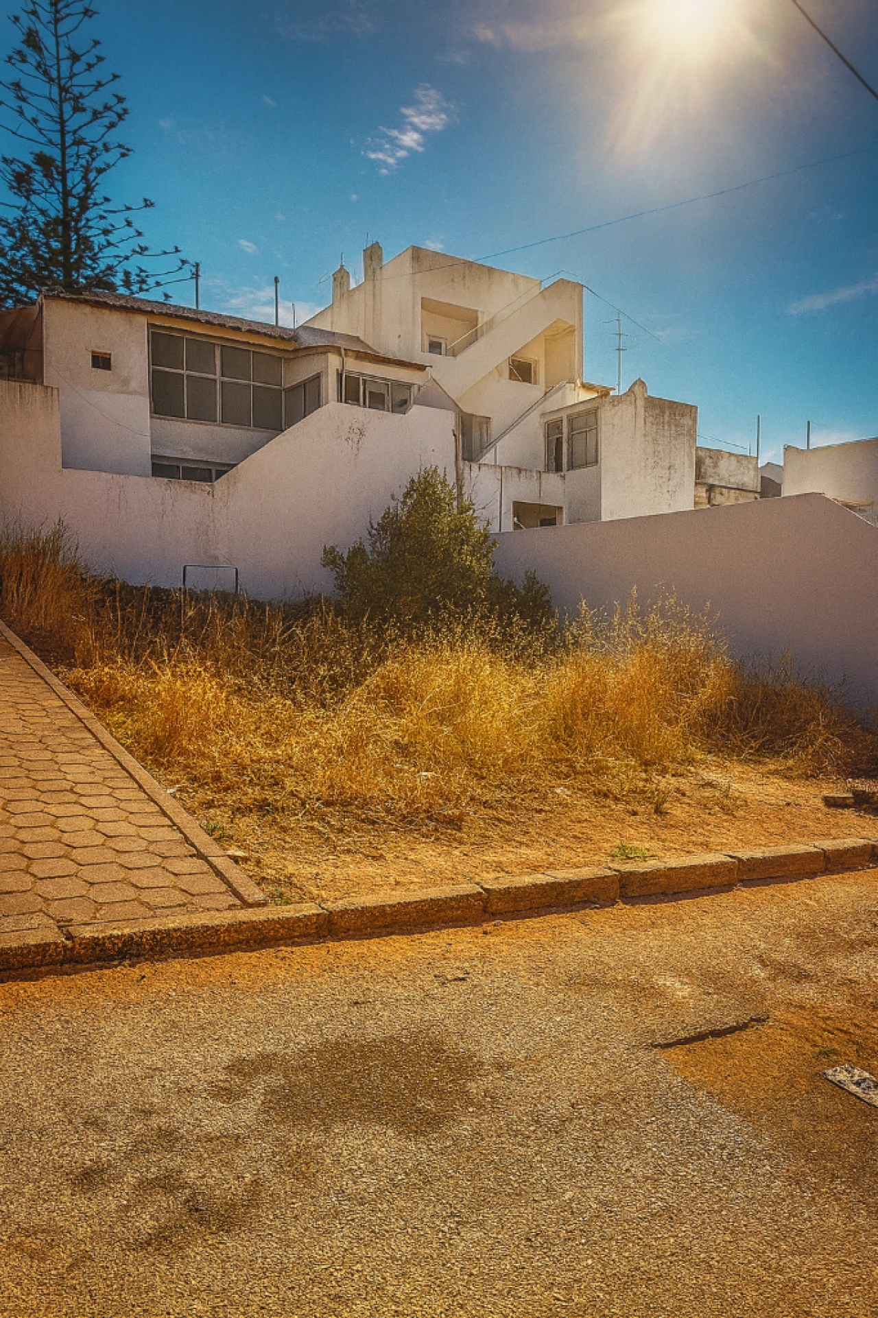 Quinta para Venda em Bela Vista Foto 3