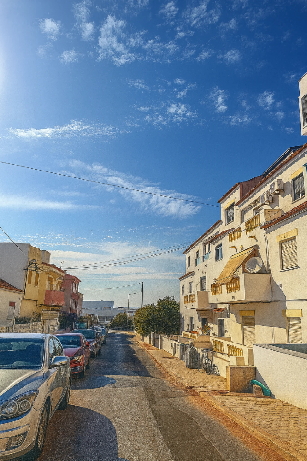 Quinta para Venda em Bela Vista Foto 6