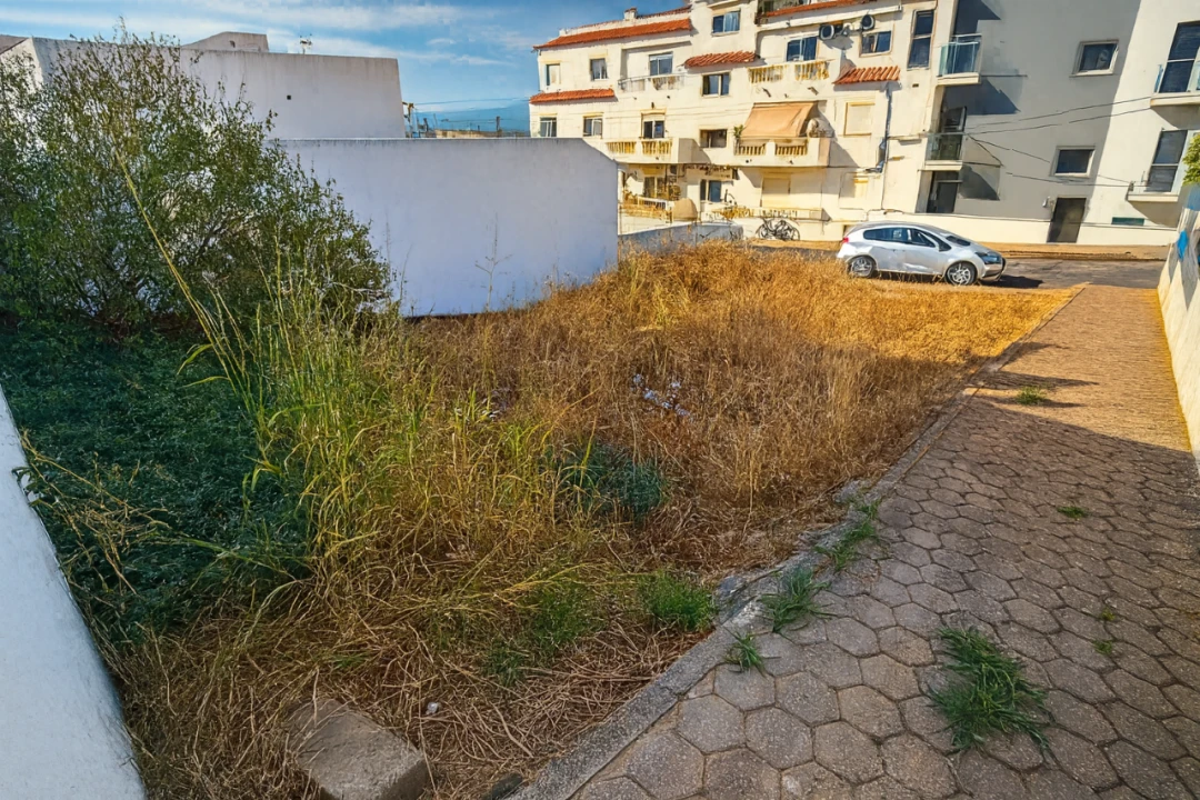 Quinta para Venda em Bela Vista Foto 2