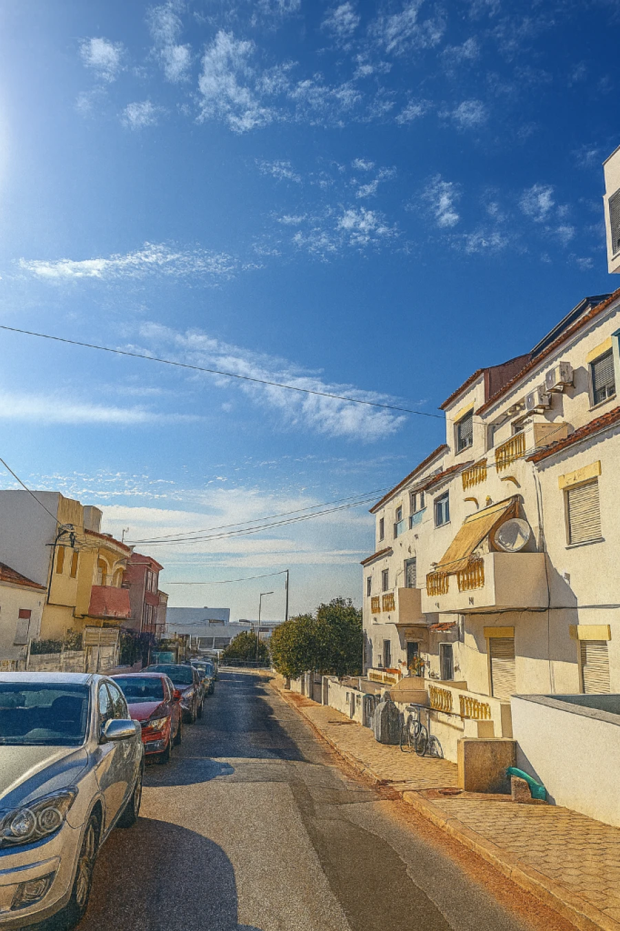 Quinta para Venda em Bela Vista Foto 6
