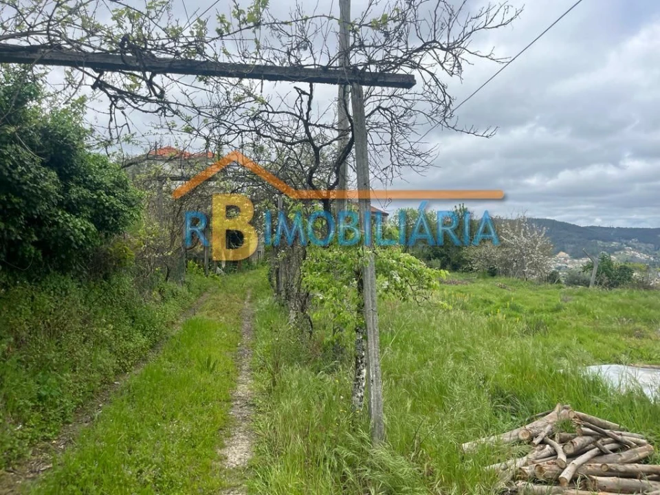 Quinta T3 para Venda em Figueiredo Foto 7