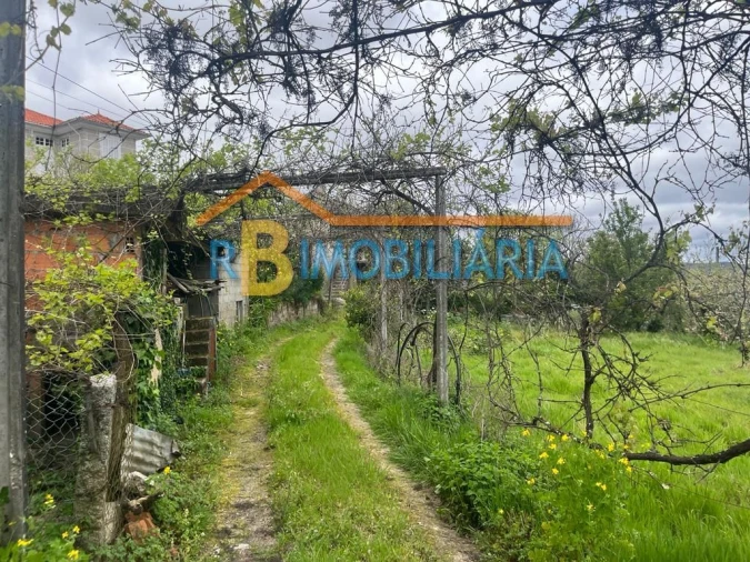 Quinta T3 para Venda em Figueiredo Foto 8