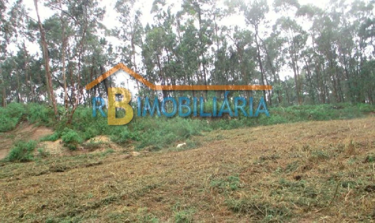 Terreno para Venda em Cesar Foto 3