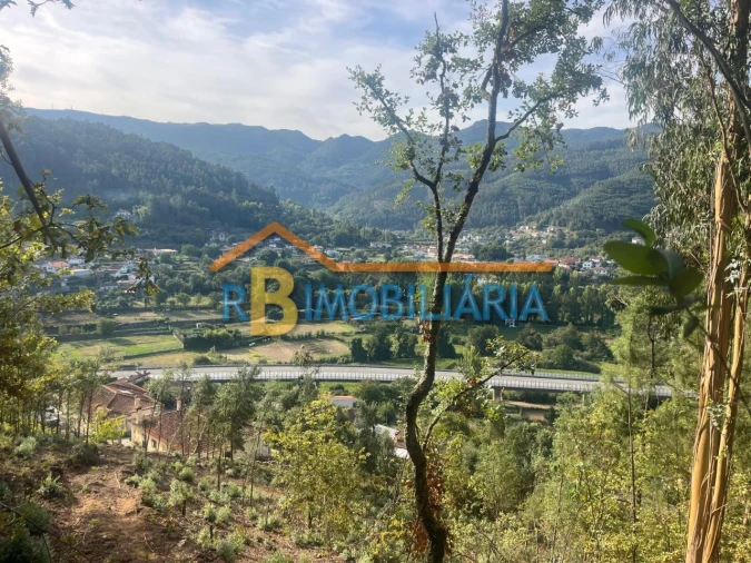 Terreno para Venda em Costa Foto 3