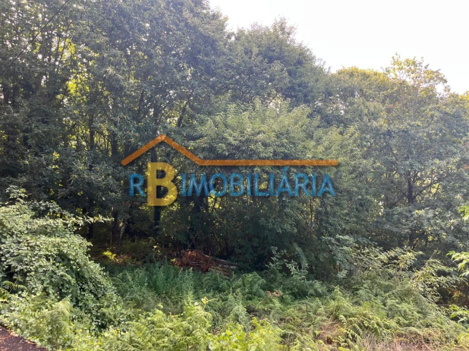 Terreno para Venda em Rossas Foto 3