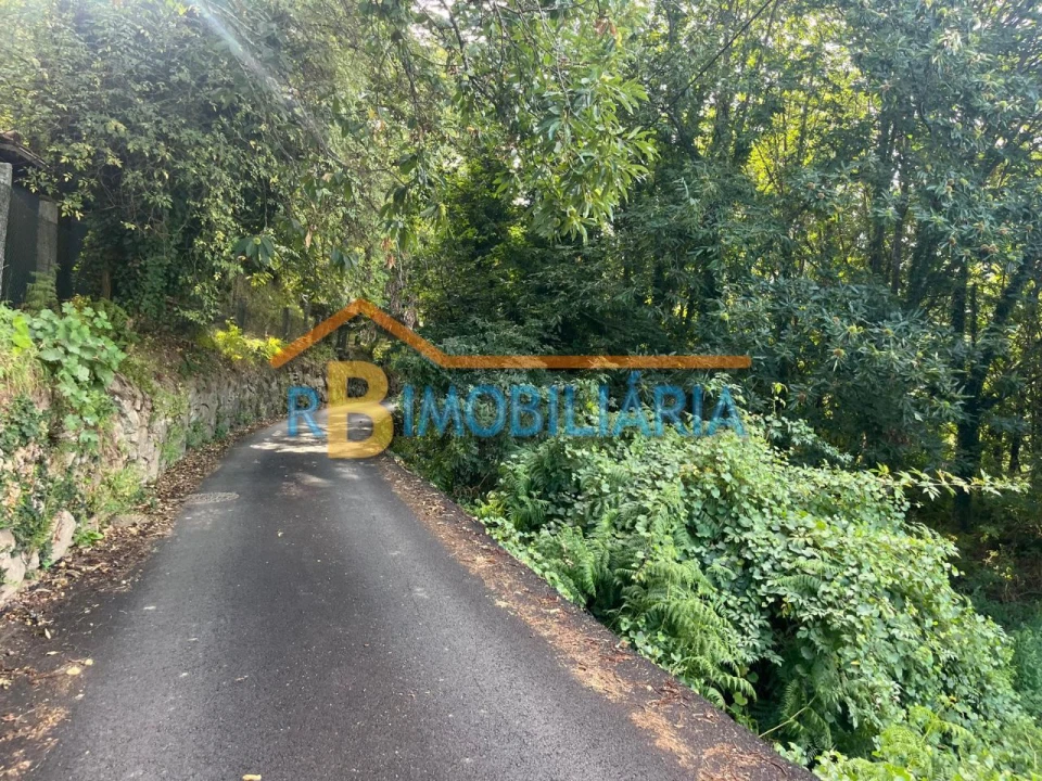 Terreno para Venda em Rossas Foto 5