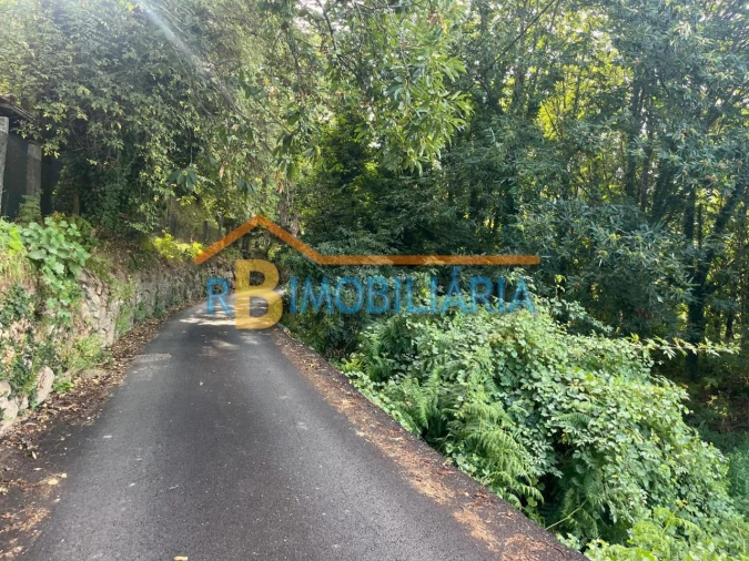 Terreno para Venda em Rossas Foto 5