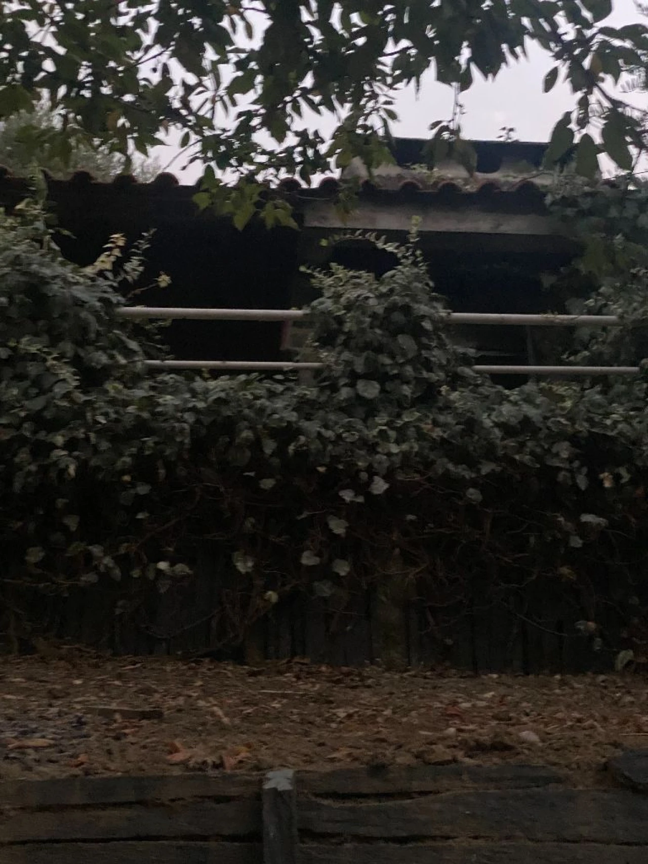 Moradia T3 para Venda em Rio Bom Foto 13