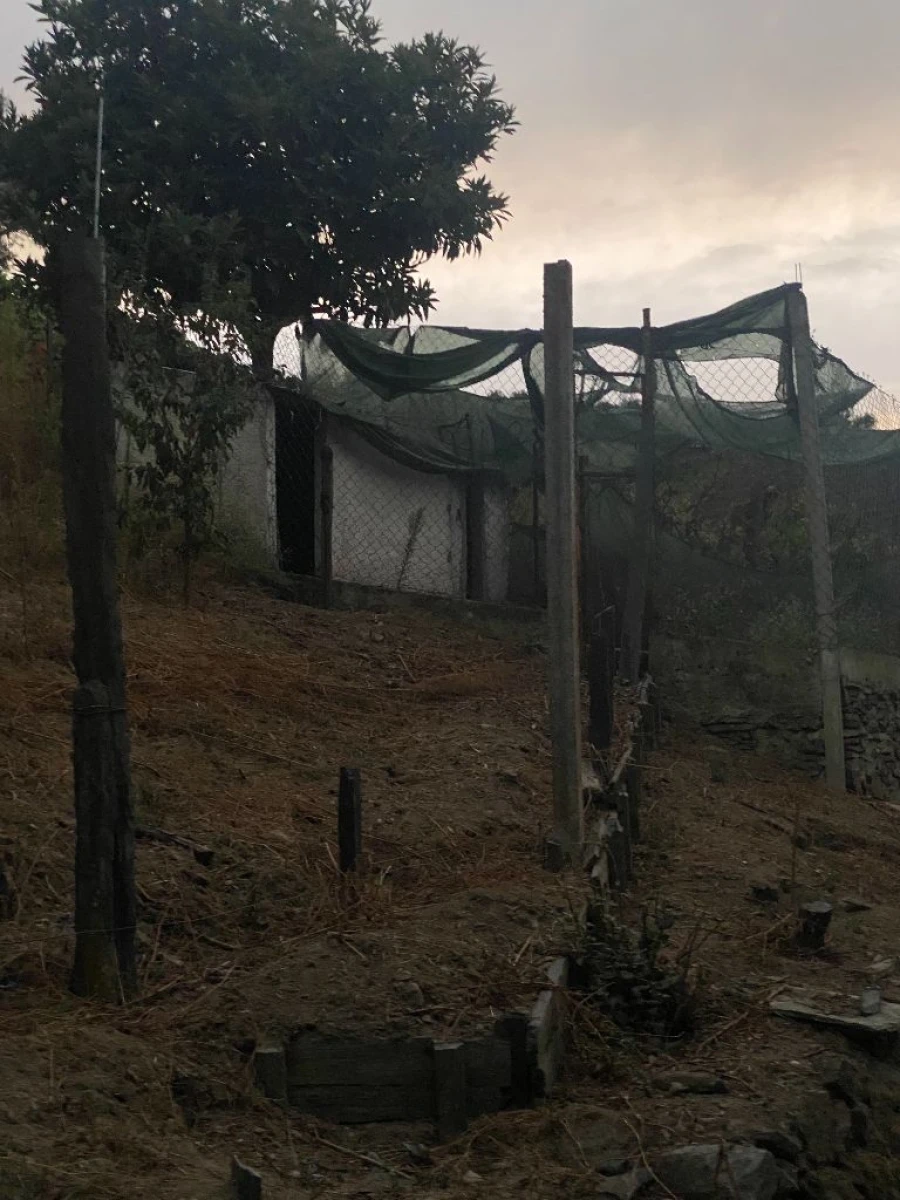 Moradia T3 para Venda em Rio Bom Foto 14