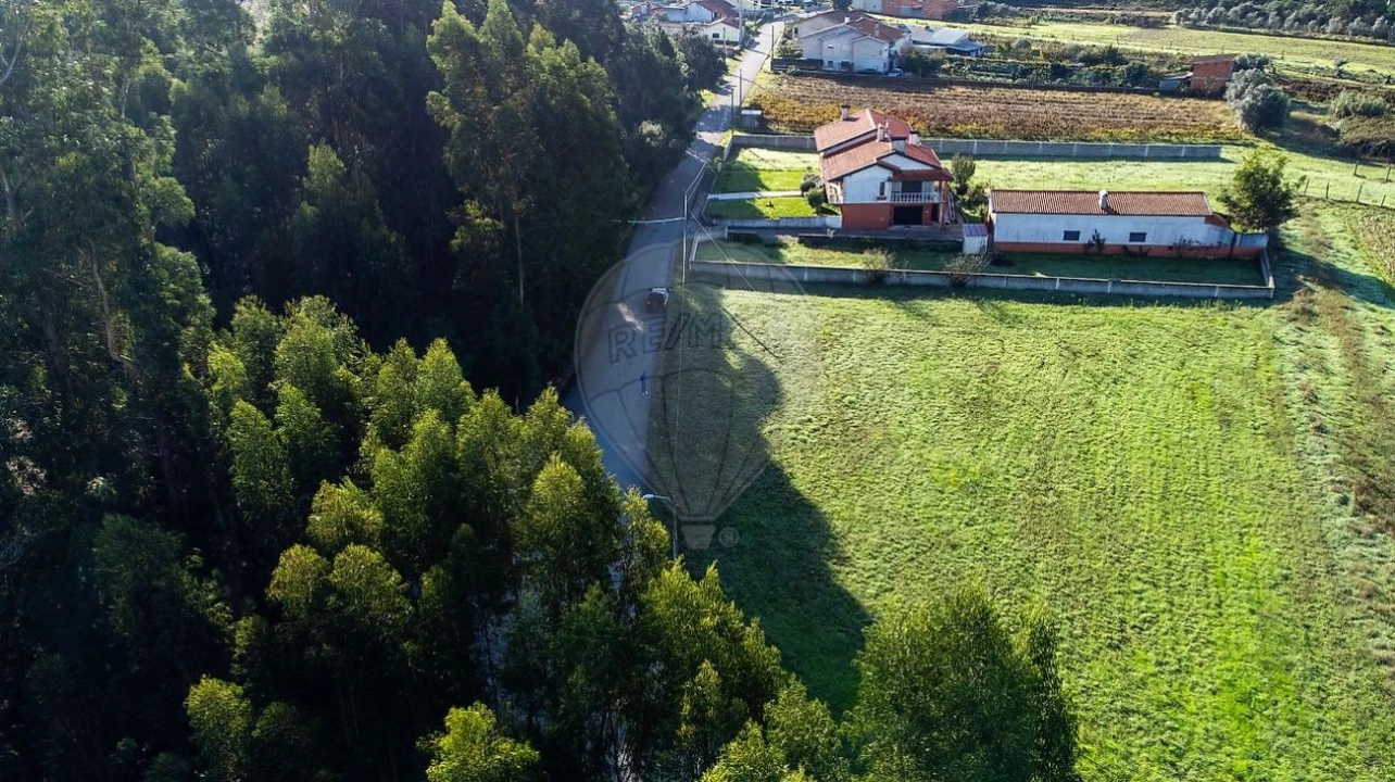 Terreno para Venda em Aguada de Baixo Foto 3