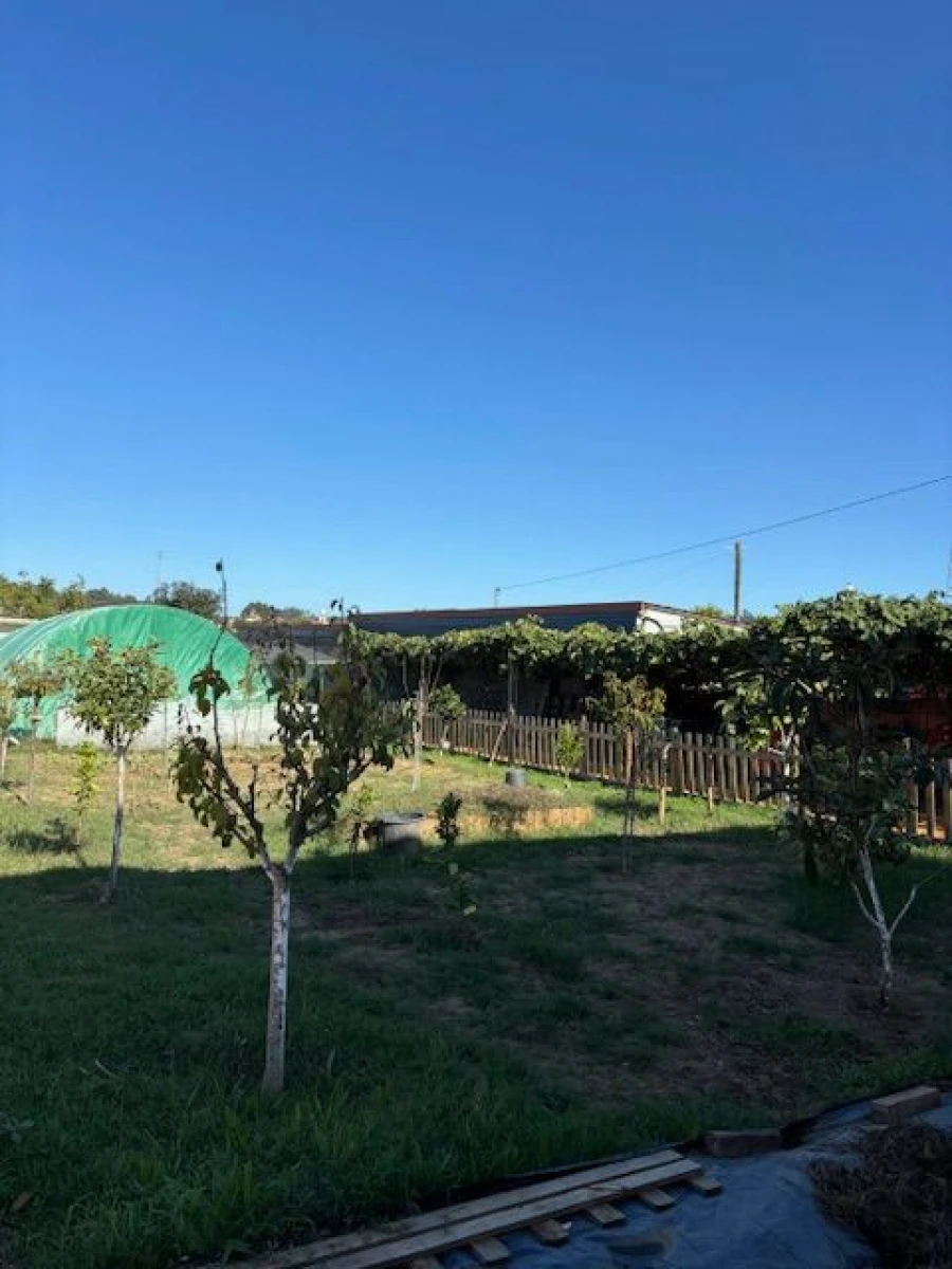 Terreno P/ Prédio para Venda em Maia Foto 2